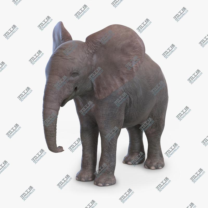 images/goods_img/202105072/Baby Elephant/1.jpg